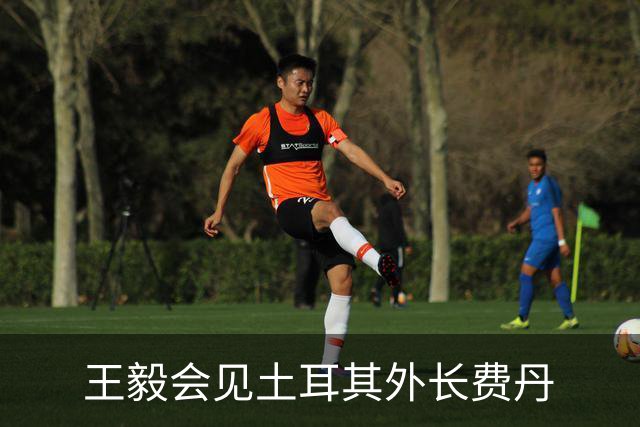 王毅会见土耳其外长费丹