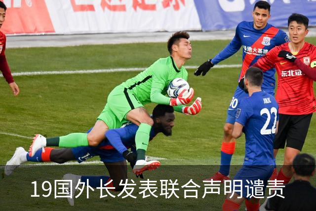 19国外长发表联合声明谴责
